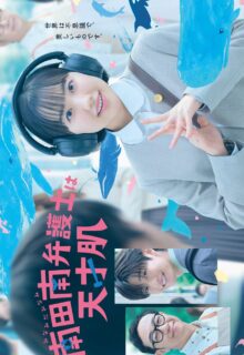 Extraordinary Attorney Minami