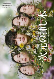 Labyrinth of Hortensia and the Minotaur